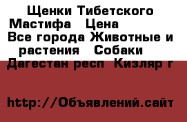 Щенки Тибетского Мастифа › Цена ­ 60 000 - Все города Животные и растения » Собаки   . Дагестан респ.,Кизляр г.